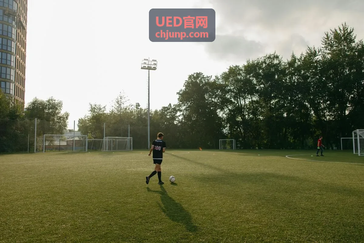 UED官网交互与视觉设计